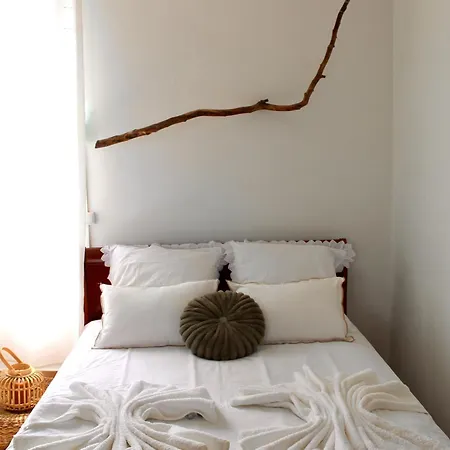Appartement Cabanelle, L'esprit Nature